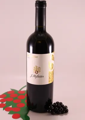 Immagine prodotto di Lagrein Vigna Steinraffler - 2020 - Cantina Hofstätter Joseph