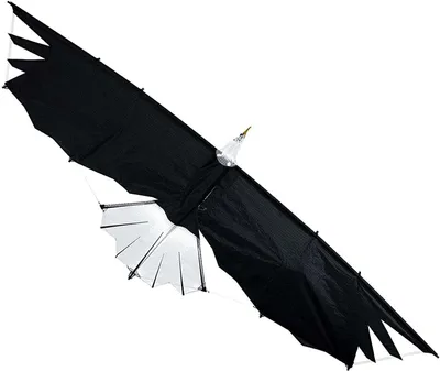 Produktbild von Lenkdrachen Revolution Eagle VSRV00401 Schwarz 244 x 81 cm