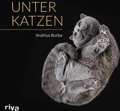 Produktbild von Unter Katzen