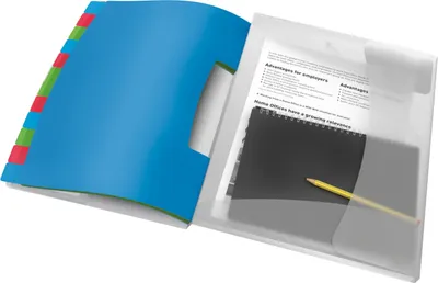 Produktbild von Ordnungsmappe Vivida A4 12 Fächer mehrfarbig Packung mit 10 Stück