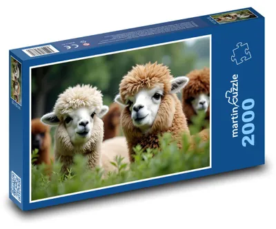 Zdjęcie produktu dla martinpuzzle - Puzzle 2000 - Alpakki