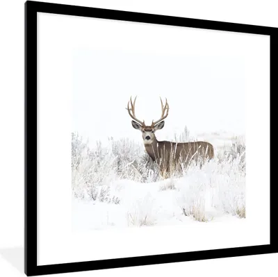 Produktbild von MuchoWow® Gerahmtes Poster Hirsche - Winter - Schnee - Tiere - Jahreszeiten - Weiß 40x40 cm - Poster mit Schwarzem Bilderrahmen Wandposter Rahmen Foto Bilder - Poster - Plakat im Rahmen