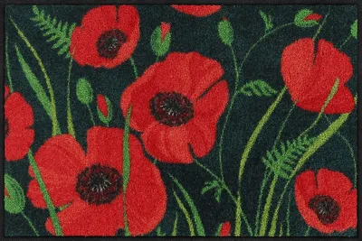 Produktbild von Salonloewe SLD3209, Dekorative Fußmatte, Drinnen/Draußen, Rechteckig, Rot, Abbildung, Polyamid