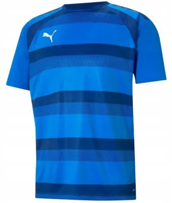 Produktbild von Puma - "TeamVision" Trikot für Herren PP3403 (L) (Blau)