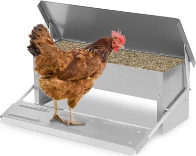 Produktbild von Futterautomat Hühner Hühnerfutterautomat für Geflügel, Wasserdicht und rattensicher aus Verzinkter Stahl 5KG Futterspender Futtertrog mit Automatisches Pedal und Wasserfest Decke Hühnerfutter