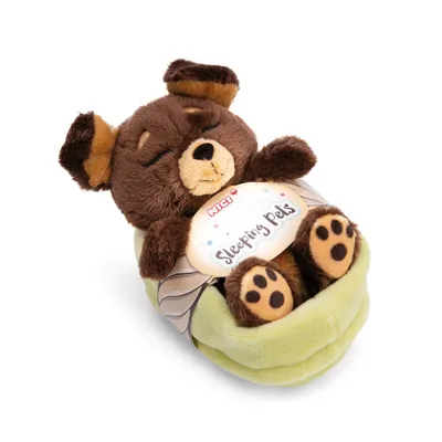 A plush teddy bear sleeping in a green sleeping bag, with a tag attached.