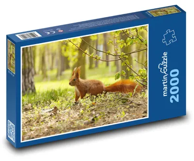 Obrázok produktu pre martinpuzzle - Puzzle 2000 - Vevericka - hlodavec