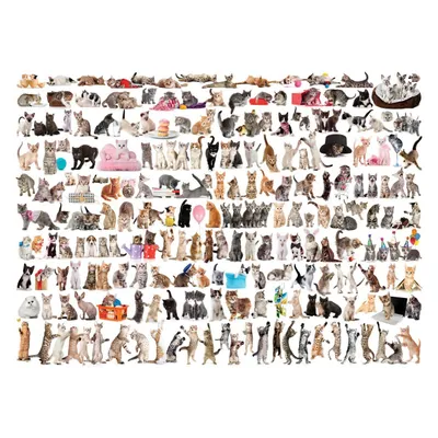 Produktbild von Eurographics Puzzle Katzen Tiere - 1000 Teile Puzzle