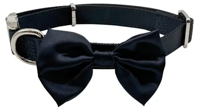 Image de Collier pour chien Croci, modèle pour mâles, avec nœud papillon, idéal pour les mariages, couleur bleu