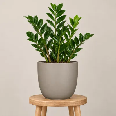Produktbild von Mica Decorations Blumentopf - taupe braun - Keramik - 9 x 10 cm