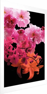 Produktbild von Posterpapier Poster - Spring Saturation 40x60 cm Blumen b-C-0358-ao-a