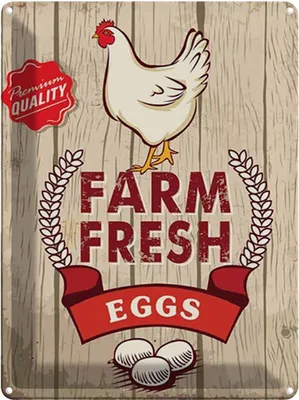 Produktbild von vianmo Blechschild 40x30 cm Huhn farm fresh eggs premium