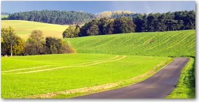 Produktbild von Tulup® Glas-Bild - 100x50 -Wandkunst - Wandbild hinter gehärtetem Sicherheitsglas  - Landschaften - Weldweg - Grün