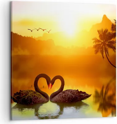 Produktbild von Bild auf Leinwand - Leinwandbild - Schwan Wasser Paar - 50x50cm - Wand Bild - Wanddeko - Wandbilder - Leinwanddruck - Bilder - Kunstdruck - Wanddekoration - Leinwand bilder - Wandkunst - AC50x50-3855
