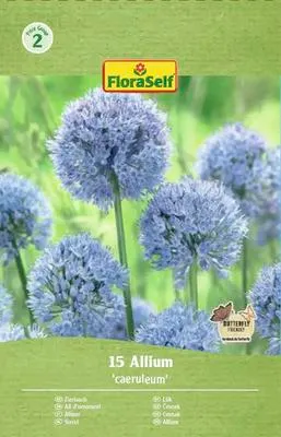 Obrázek produktu pro Okrasný česnek FloraSelf 'Caeruleum' 15 ks
