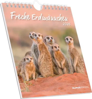 Produktbild von Alpha Edition - Freche Erdmännchen 2026 - Postkartenkalender 16×17 cm mit 53 witzigen Motiven, dekorativer Tisch- & Wandkalender aufPapier, zum Verschicken, Sammeln & Verschenken