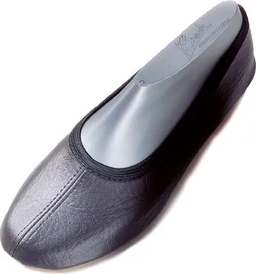 A black ballet shoe with a gray shoe form inside, isolated on a white background.