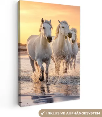 Produktbild von MuchoWow® - Leinwandbilder - Pferde - Sonne - Meer - Strand - Tiere, Wandbild, Wanddeko Bilder Wohnzimmer, 60x90 cm
