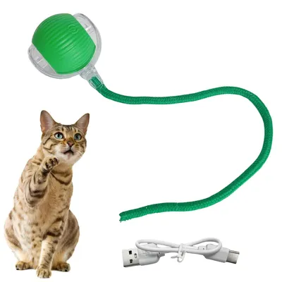 Produktbild von Interaktiver Katzenball mit USB-C Ladefunktion – Selbstrollendes Katzenspielzeug mit LED & Sound, 3 Modi, Automatischer Bewegungsball mit Schnur