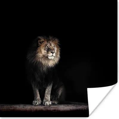 Produktbild von MuchoWow® Poster Löwe - Licht - Porträt 50x50 cm - Wohnzimmerdekoration