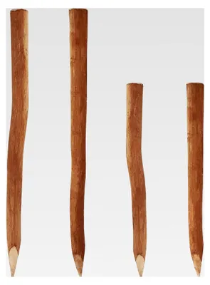 Produktbild von 5 Holzpfosten für Staketenzaun 1,5m | Durchmesser 6-9cm | Zaunpfosten aus Haselnuss | Robuster Stützpfosten & Rankhilfe | Vielseitiger Holzpfosten | Naturprodukt