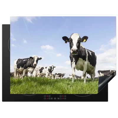 Produktbild von KitchenYeah© Herdabdeckplatte Kühe - Gras - Tiere - Sonne - Bauernhof , 70x52cm, Küche Deko, Glaskeramikkochfeld Herdabdeckung, Abdeckplatte fùr Kochfeld