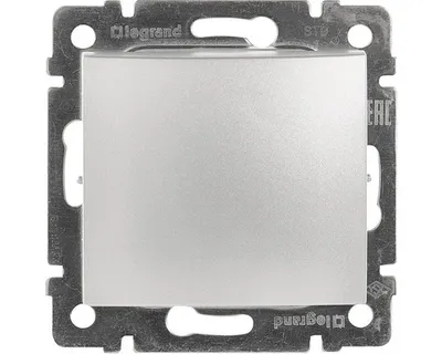 Image de Interrupteur Legrand Valena 770101 série 1 argent métallique (cadre non inclus)