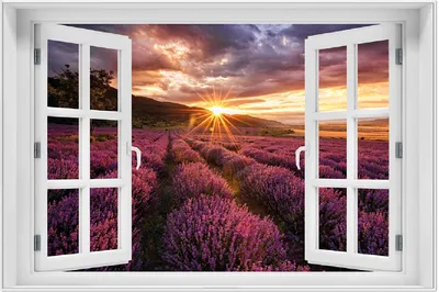 Produktbild von Wallario Wandbild mit Fenster-Illusion: Lavendelfeld bei Sonnenuntergang - Sonnenstrahlen, Größe: 61 x 91,5 cm, Poster mit weißem Aluminiumrahmen