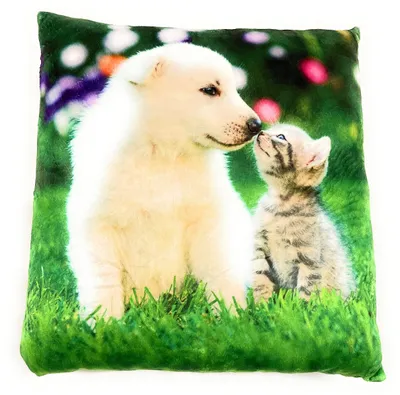 Plüschkissen Katze/Hund 35x35 cm, waschbar, Kuschelkissen