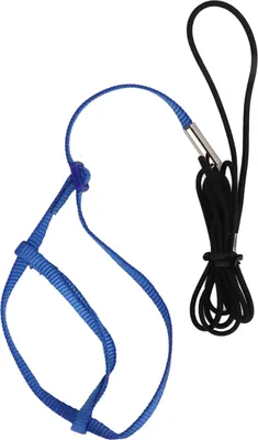 Obrázek produktu pro Papageienkabelbaum -Leinen verstellbarer Vogelfliegertraktionseil mit Haken für Vögel Papageisroyalblue XS