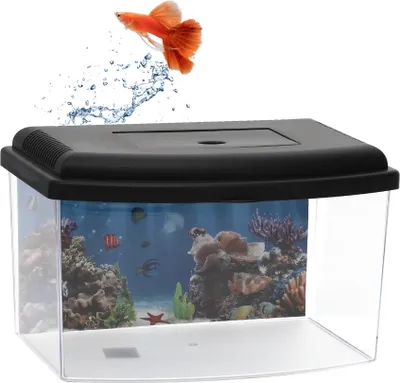 Produktbild von GarPet Mini Aquarium Terrarium Faunarium Zucht Becken klein Fisch Triops Garnelen Acryl Kunststoff Plastik mit Deckel Rückwandfolie