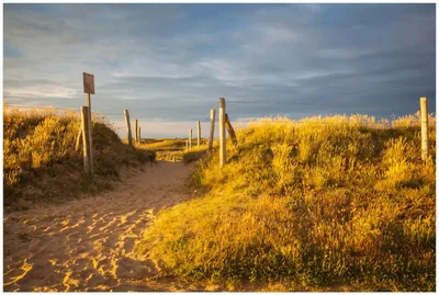Produktbild von Wallario Premium Glasbild, freischwebende Optik, kräftige Farben, Größe 90 x 60 cm Motiv Düne am Strand bei Sonnenuntergang in Frankreich