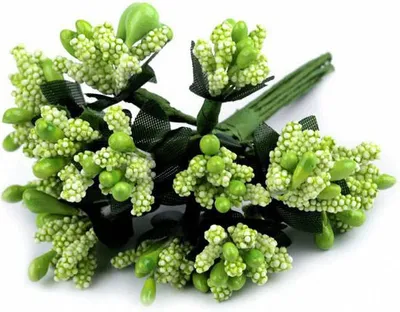 Immagine prodotto di Bouquet / porridge decorativo di riso verde lucido