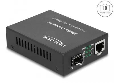 Image de DELOCK Medienkonverter 10GBase-R SFP+ zu 10GBase-T RJ45