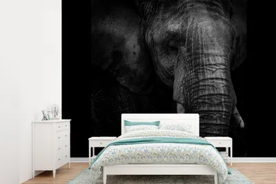 Produktbild von MuchoWow® Fototapete für Wohnzimmer oder Schlafzimmer Wandtapete Vinyl Motivtapete Elefant auf schwarzem Hintergrund in schwarz und weiß - 305x220 cm - Wandbilder