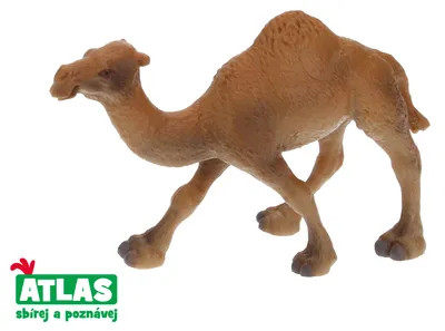 Produktbild von B - Figur Einhöckriger Kamel 11 cm