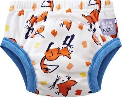 Immagine prodotto di BambinoMio Pantaloni per l'addestramento al vasino 3+y Fuzz