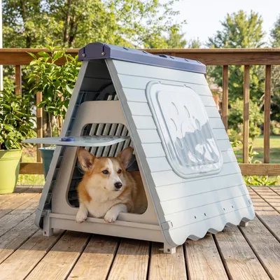 Immagine prodotto di COSTWAY Cuccia per cani da esterno, cuccia pieghevole in plastica, cuccia portatile con sportello chiudibile a chiave, finestre ventilate, 72x60x68 cm (blu)