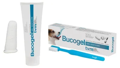 Zdjęcie produktu dla Bucogel (+ Szczotka Do Zębów) - Tvm
