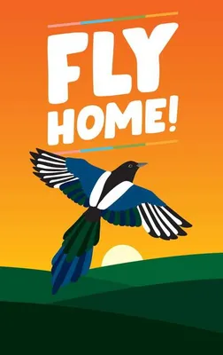 Produktbild von Fly Home! – Brettspiel – Helvetiq – 0+
