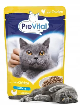 Obrázok produktu pre PREVITAL Kurča v omáčke - mokrá strava pre mačky - 100g