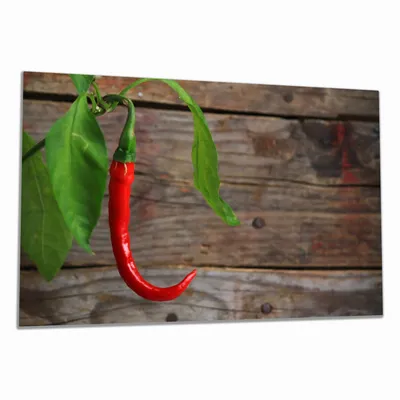 Produktbild von Wallario Herdabdeckplatte aus Glas, Größe 80 x 52 cm 1-teilig, Motiv Hängende Chili-Schote