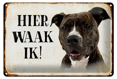 Produktbild von Blechschild Spruch 30x20cm holländisch Hier Waak ik Pitbull Terrier