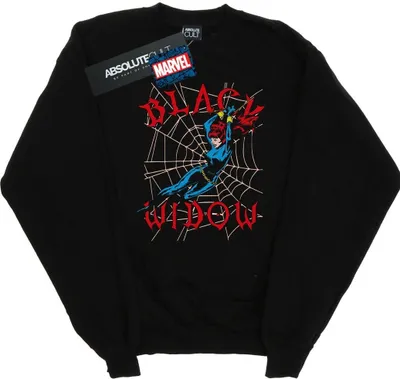 Produktbild von Marvel - Sweatshirt für Herren BI42094 (5XL) (Schwarz)