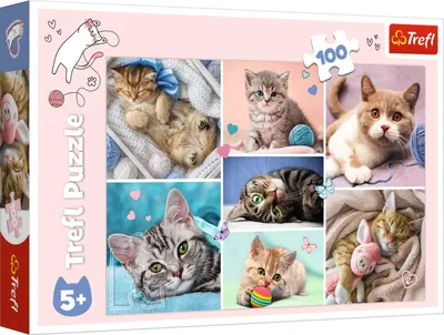 Image de Trefl Puzzle dans le monde des chats 100 pièces