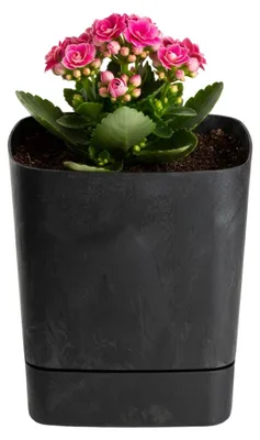 Obrázek produktu pro HowHomely | Květináč – obal na květináč – květináč s podložkou – černý – 16 x V 18 cm – z plastu – vzhled betonu