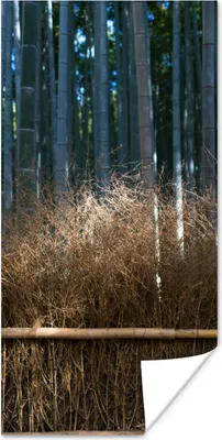 Produktbild von MuchoWow® Poster Arashiyama-Bambusbäume in einem Wald Japan 40x80 cm - Dekoration