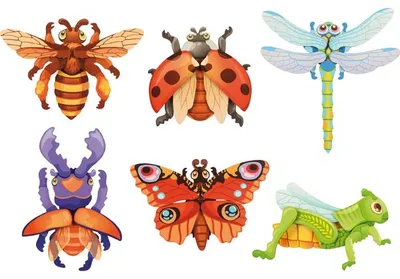 Obrázok produktu pre Sada 6 magnetických puzzle hmyzov