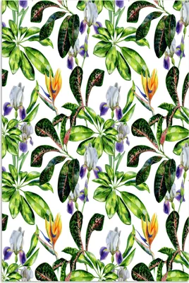Produktbild von MuchoWow® Poster Paradiesvogelpflanze - Blätter - Grün 20x30 cm - Papierdruck