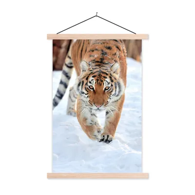 Produktbild von MuchoWow® Textilposter Tiger - Schnee - Tiere 40x60 cm mit holzfarbenen Rahmen - Poster